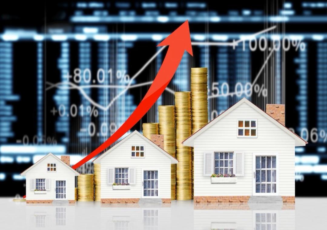 Investment Analysis